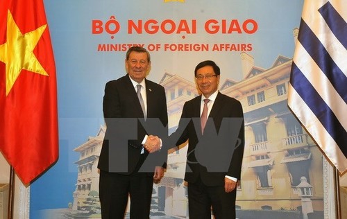 Vietnam, Uruguay to set up a joint committee on trade promotion - ảnh 1